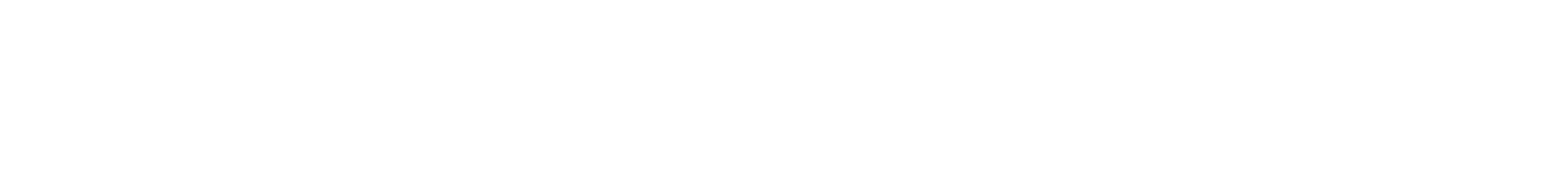 Logo-Wordmark-Horizontal-2